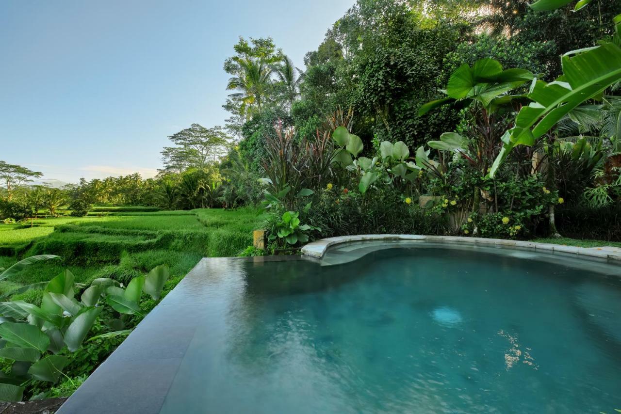 Villa Kembang Bali Ubud Ngoại thất bức ảnh